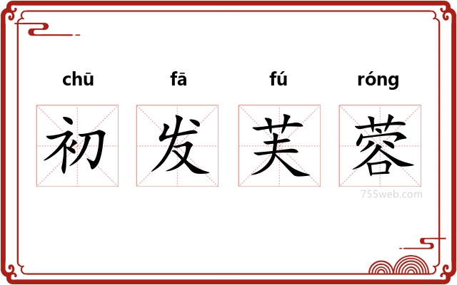 初发芙蓉