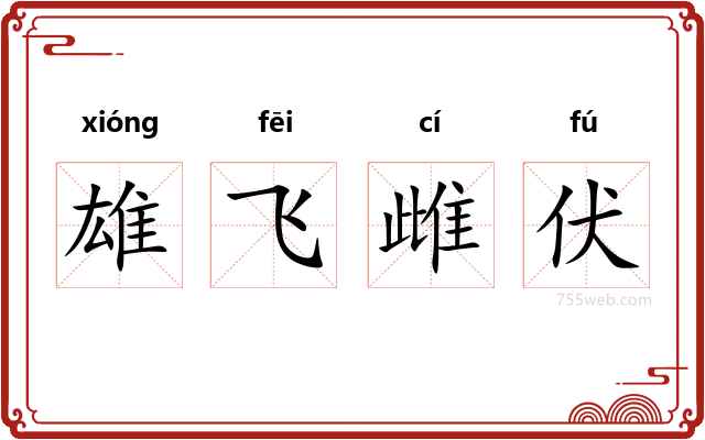 雄飞雌伏