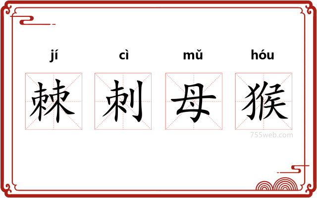 棘刺母猴