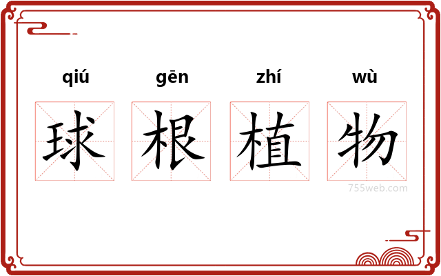 球根植物