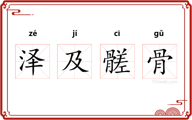 泽及髊骨