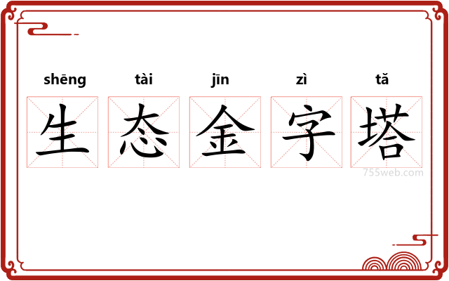 生态金字塔