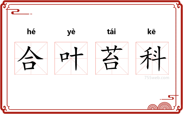 合叶苔科