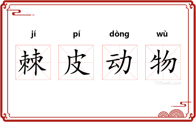 棘皮动物