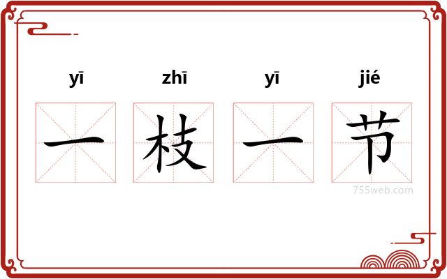 一枝一节