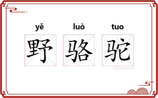 野骆驼
