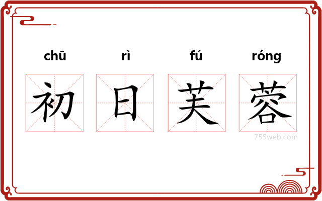初日芙蓉