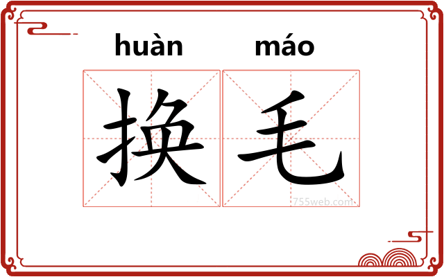 换毛