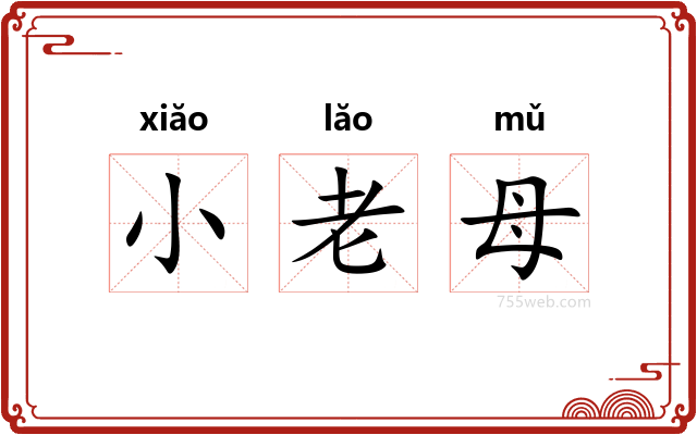 小老母