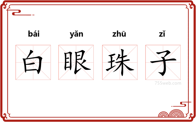 白眼珠子