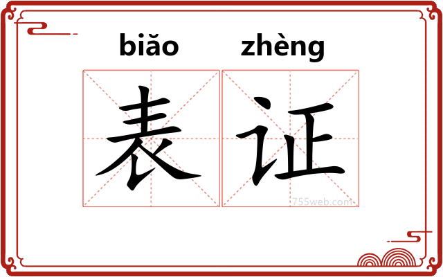 表证