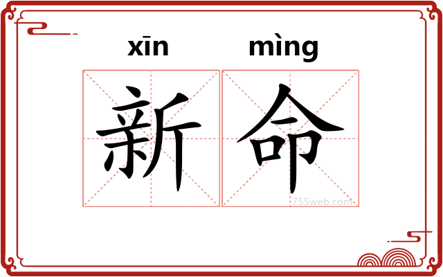 新命