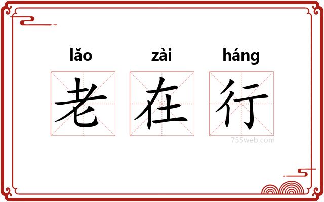 老在行
