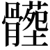 𩪝